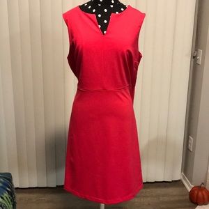 ❗️NWT ❗️The Limited pink A-line dress